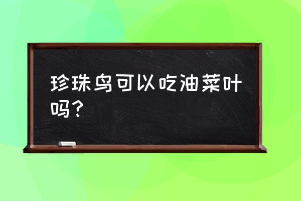 可长期吃的油菜怎么吃 珍珠鸟可以吃油菜叶吗？