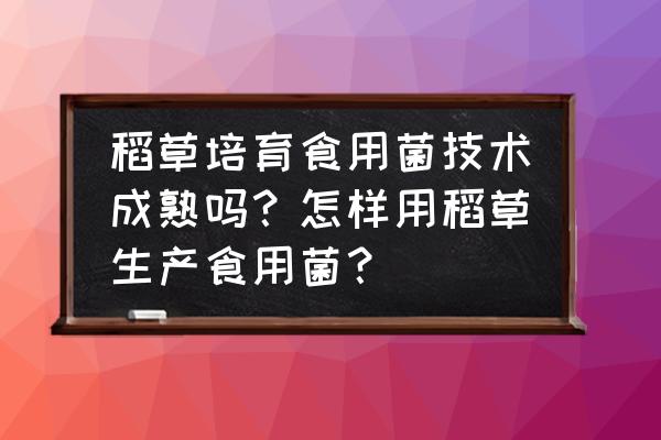 新鲜草菇怎么销售 稻草培育食用菌技术成熟吗？怎样用稻草生产食用菌？