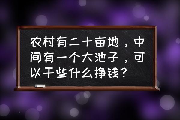 蚯蚓养殖可行性报告 农村有二十亩地，中间有一个大池子，可以干些什么挣钱？