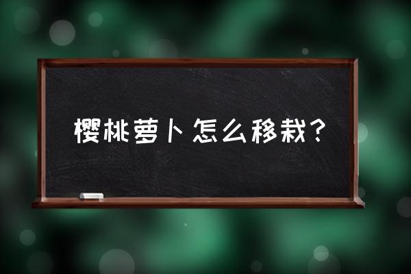 樱桃萝卜育苗方法和时间 樱桃萝卜怎么移栽？