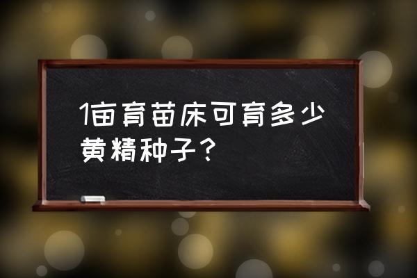 黄精种子多少钱一斤 1亩育苗床可育多少黄精种子？