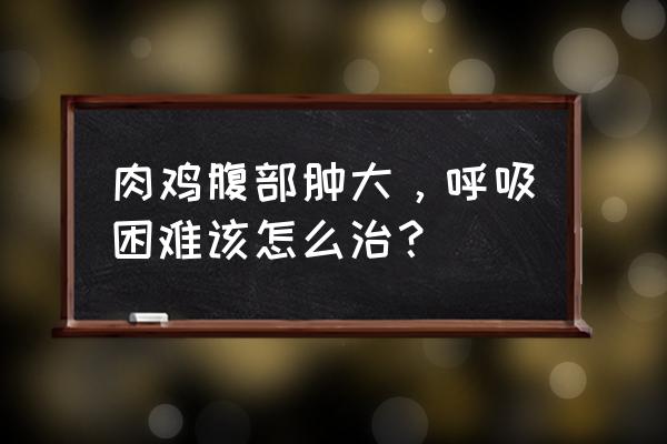 怎么判断鸡群呼吸困难 肉鸡腹部肿大，呼吸困难该怎么治？