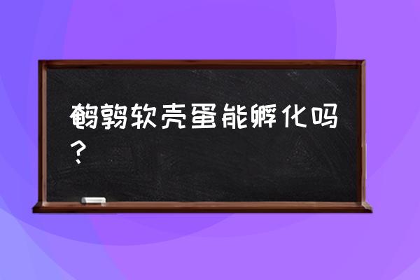 编鸡蛋网袋最好的方法 鹌鹑软壳蛋能孵化吗？