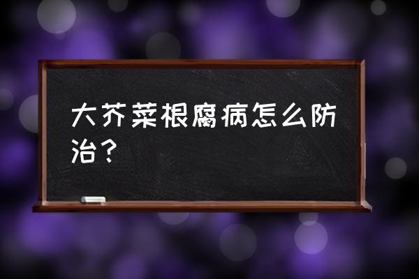 植物的根腐病怎么预防 大芥菜根腐病怎么防治？