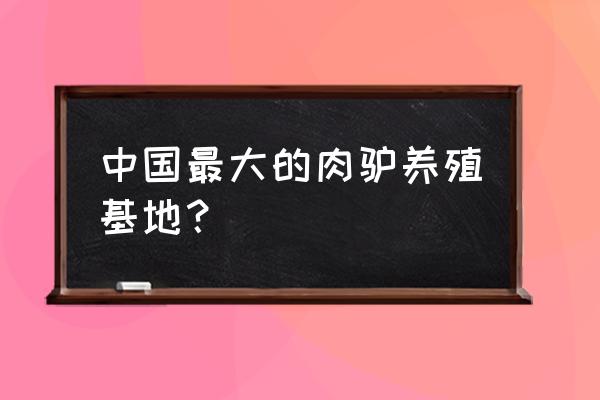 中国哪里肉驴养殖比较多 中国最大的肉驴养殖基地？