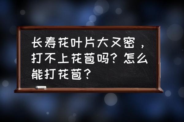 动物大联盟1-25怎么强化 长寿花叶片大又密，打不上花苞吗？怎么能打花苞？