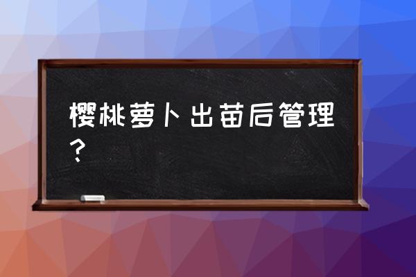 樱桃萝卜是否天天浇水 樱桃萝卜出苗后管理？