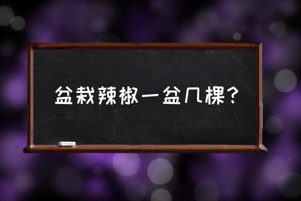 盆栽辣椒的种植方法和管理技术 盆栽辣椒一盆几棵？