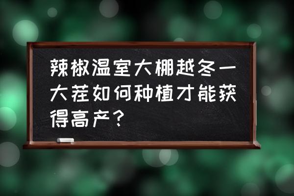 辣椒高产栽培主要技术有哪些 辣椒温室大棚越冬一大茬如何种植才能获得高产？