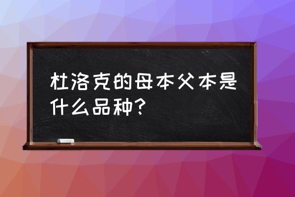 哪个品种的杜洛克最好 杜洛克的母本父本是什么品种？