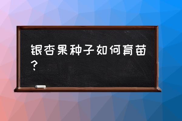 捡的银杏果种子可以直接种植吗 银杏果种子如何育苗？