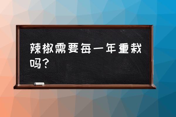 茄子刺扎手了不拔有影响吗 辣椒需要每一年重栽吗？