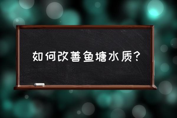 水产养殖水体常见问题及解决办法 如何改善鱼塘水质？