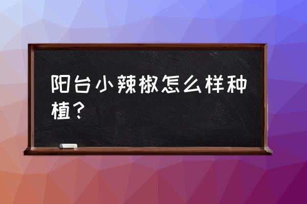 阳台种植辣椒的方法和步骤 阳台小辣椒怎么样种植？