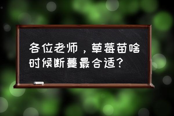 草莓的茎很快断了怎么补救 各位老师，草莓苗啥时候断蔓最合适？