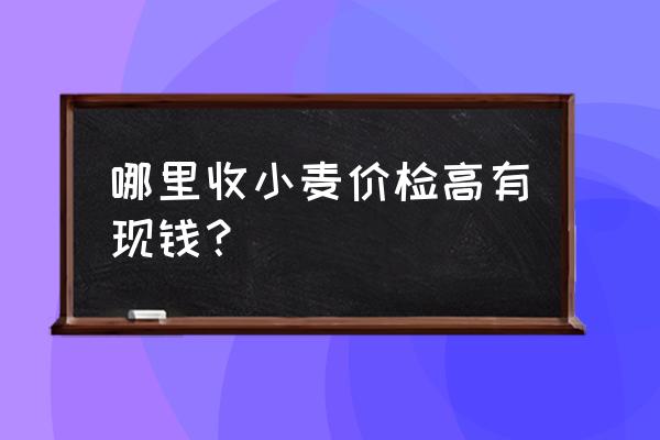 小麦实时拍卖去哪看 哪里收小麦价检高有现钱？