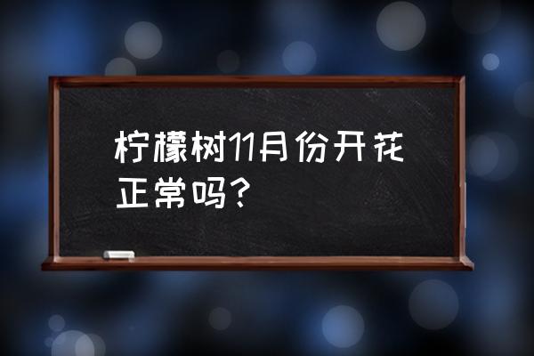 盆栽柠檬几月开花 柠檬树11月份开花正常吗？