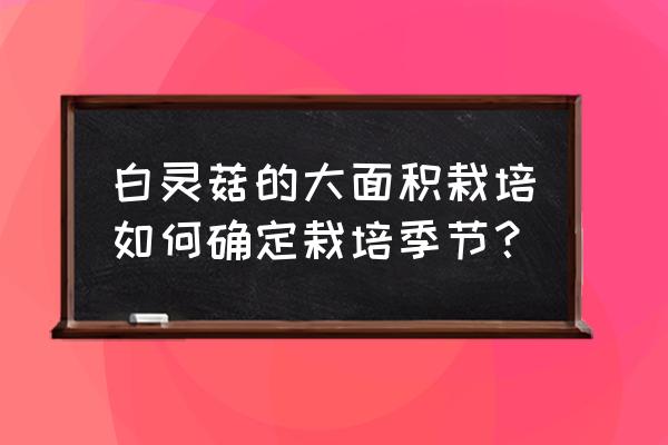 黄菇菌如何烹饪 白灵菇的大面积栽培如何确定栽培季节？