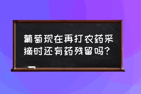 葡萄怎么洗掉农药残留 葡萄现在再打农药采摘时还有药残留吗？