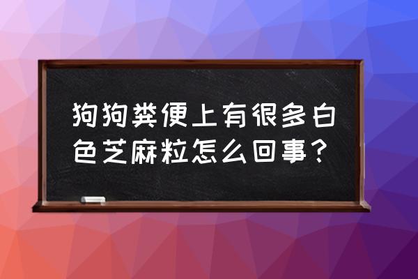 宠物粪便属于哪类垃圾 狗狗粪便上有很多白色芝麻粒怎么回事？