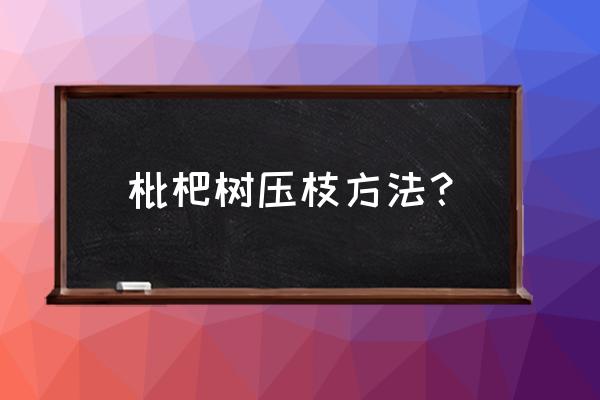 三年枇杷修剪的正确方法 枇杷树压枝方法？