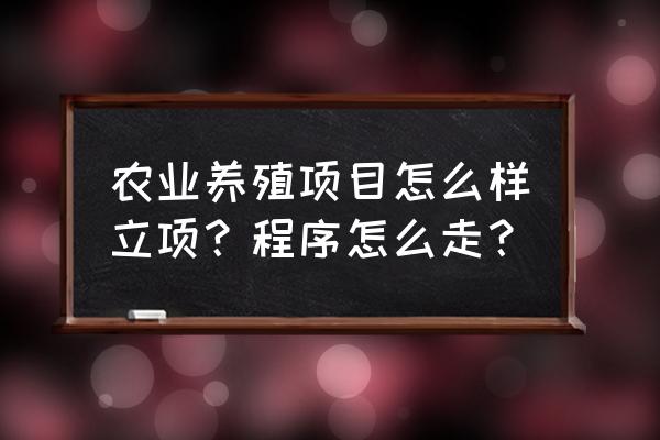 现代农业产业园建设市场可行性 农业养殖项目怎么样立项？程序怎么走？