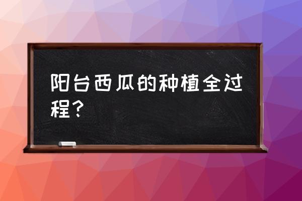 盆栽西瓜土壤配方 阳台西瓜的种植全过程？