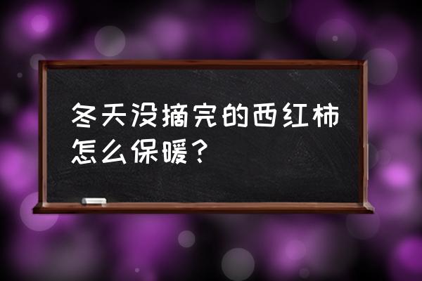 冬季家庭阳台种西红柿 冬天没摘完的西红柿怎么保暖？