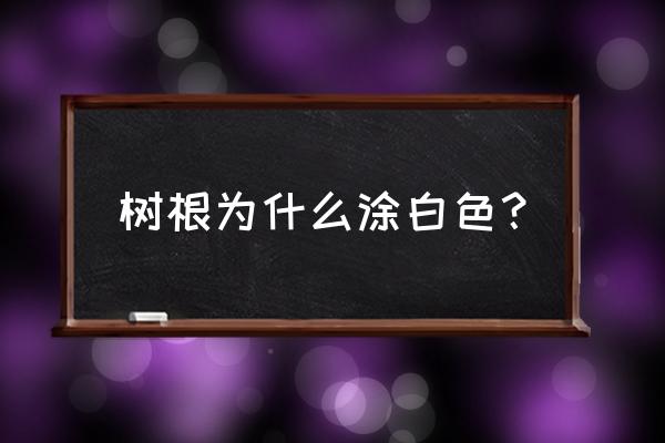 树根涂石灰有啥用 树根为什么涂白色？