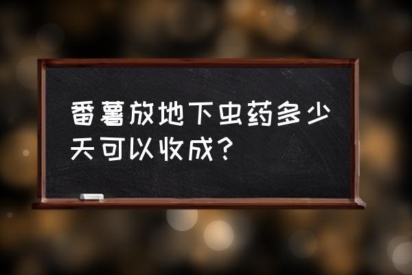 红薯地下害虫什么时间防治为好 番薯放地下虫药多少天可以收成？