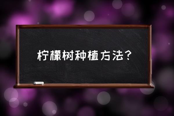 种柠檬树的最佳方法 柠檬树种植方法？