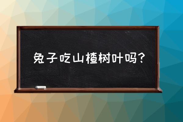 圆白菜做青储草料怎么样 兔子吃山楂树叶吗？