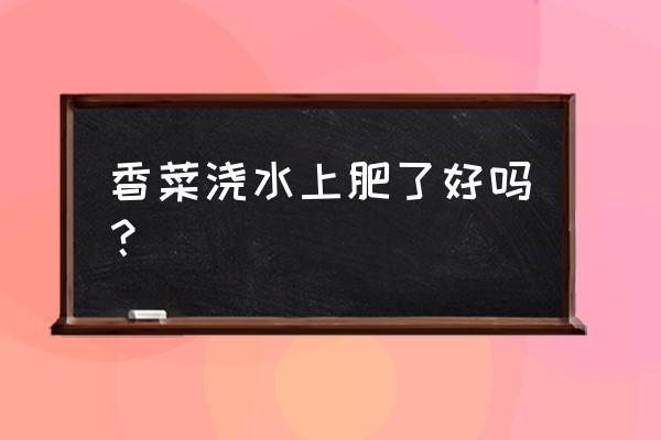 盆栽香菜的施肥方法 香菜浇水上肥了好吗？