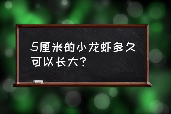 养地龙要多久才能长大 5厘米的小龙虾多久可以长大？