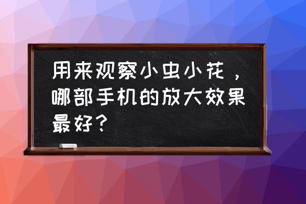 蜜蜂牌老式缝纫机怎么穿线 用来观察小虫小花，哪部手机的放大效果最好？