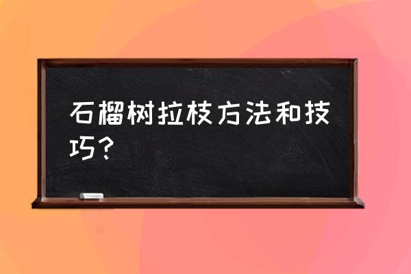 挑选石榴的七个小技巧 石榴树拉枝方法和技巧？