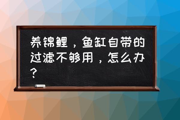 鱼缸过滤最省钱方法 养锦鲤，鱼缸自带的过滤不够用，怎么办？