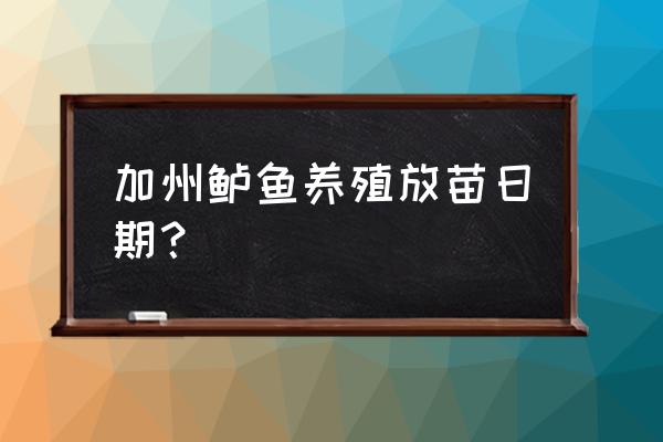 加州鲈鱼正确养殖方法 加州鲈鱼养殖放苗日期？