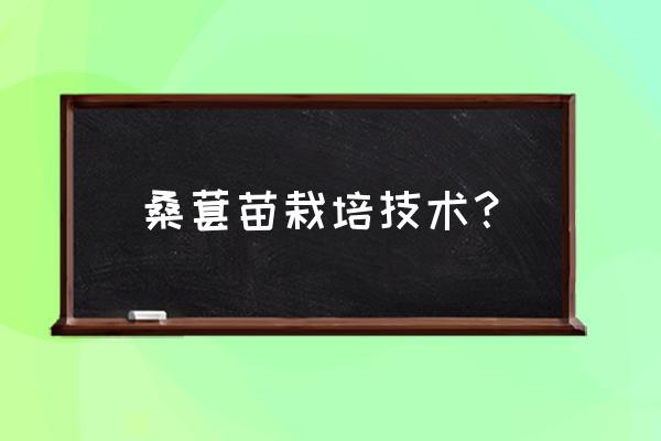 在家怎么种桑葚 桑葚苗栽培技术？