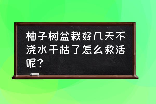 柚子树冻伤叶子枯萎怎么办 柚子树盆栽好几天不浇水干枯了怎么救活呢？