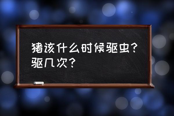 猪驱虫最佳时间和方法 猪该什么时候驱虫?驱几次？