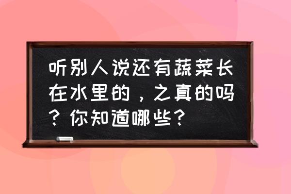 生姜水培的正确方法 听别人说还有蔬菜长在水里的，之真的吗？你知道哪些？