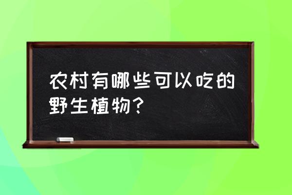 酸枣盆景树桩采挖方法 农村有哪些可以吃的野生植物？