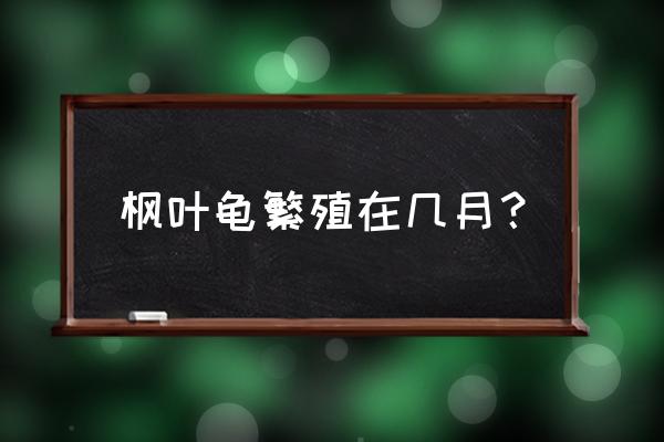 枫叶树怎样繁殖 枫叶龟繁殖在几月？