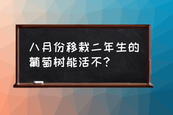 葡萄苗选几年的种植最好 八月份移栽二年生的葡萄树能活不？