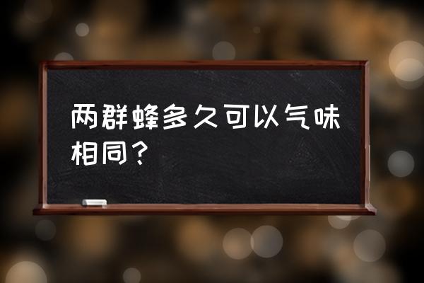 蜜蜂用哪里感知气味 两群蜂多久可以气味相同？