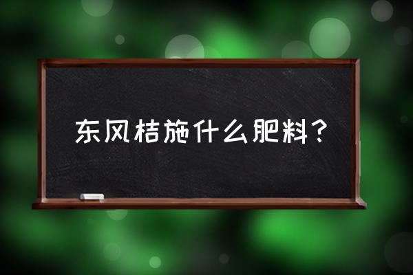 金桔施什么肥料最好 东风桔施什么肥料？