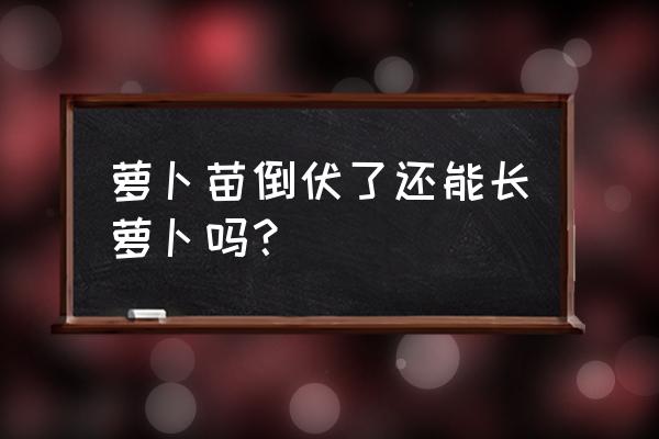 花卉幼苗倒伏的原因有哪些 萝卜苗倒伏了还能长萝卜吗？