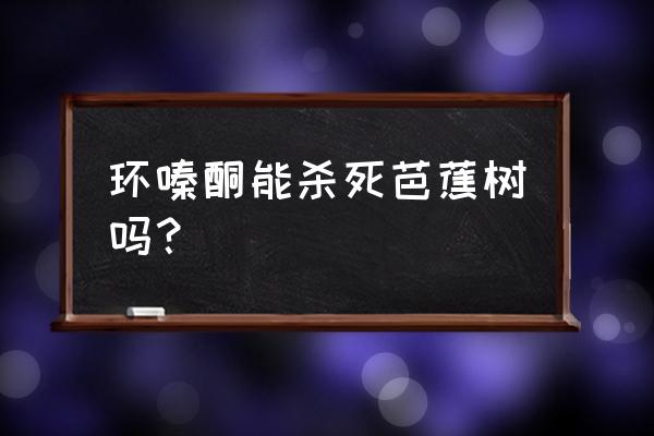 森林除草剂有哪些 环嗪酮能杀死芭蕉树吗？