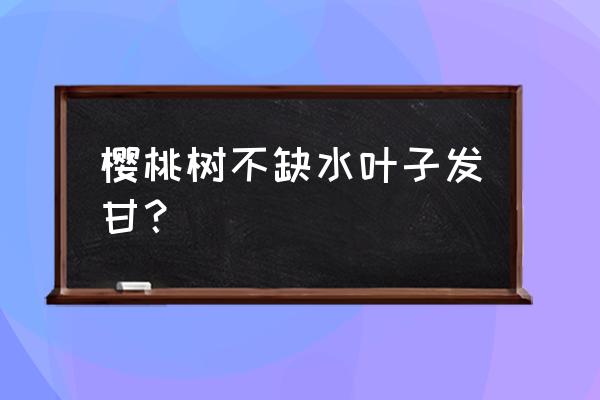 樱桃死枝和黄叶怎么治 樱桃树不缺水叶子发甘？